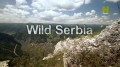 Дикая природа Сербии / Wild Serbia (2011) HD
