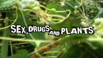 Растения - монстры / Поразительные растения / Sex, Drugs and Plants / Amazing Plants (2009) HD