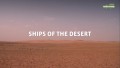 Корабли пустыни /  Ships of the desert (2012)