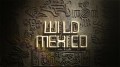 Неизведанная Мексика / Wild Mexico (2014)