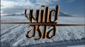 Дикая Азия: Существа оттепели / Wild Asia: Creatures of the Thaw (2010) HD