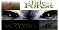 Чудесный лес / Tale of a Forest / Mets?n tarina / Wunder des Waldes (2012)