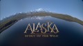 Аляска: Дух времени / IMAX Alaska: Spirit of the Wild HD