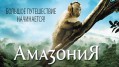 Амазония / Amazonia (2013)