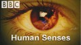 ВВС Чувства человека / Human Senses 5.Слух