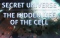 BBC Тайная Вселенная. Путешествие внутрь клетки / Secret Universe: The Hidden Life of the Cell (2012)