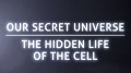 BBC Тайная Вселенная. Путешествие внутрь клетки / Secret Universe: The Hidden Life of the Cell (2012) HD