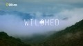 Дикая природа Средиземноморья. Последний лес / WildMed: The Last Mediterranean Forest (2014) HD