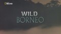 Дикий Борнео / Wild Borneo (1998) HD