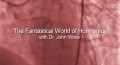 BBC Таинственный мир гормонов / The Fantastical World of Hormones with Professor John Wass (2014)