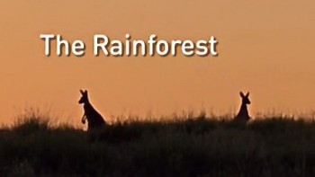 Национальные парки Австралии / Australia's Wild Places 02. Тропический лес (2013)