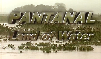 Пантанал - Царство воды / Pantanal Land of Water (2000)