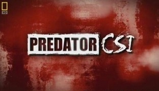 Следствие по делам хищников. Косатка, сожравшая акулу / Predator CSI (2009) National Geographic