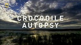 Анатомия крокодила / Crocodile autopsy (2007) National Geographic