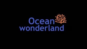 Чудеса океана 3D / Ocean Wonderland 3D (2003)