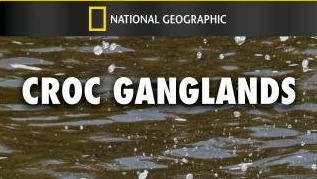 National Geographic: Крокодильи разборки / Crocodile Ganglands (2010)