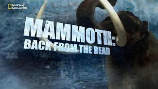 Мамонт: Воскрешение из мертвых / Mammoth: Back from the Dead (2013)