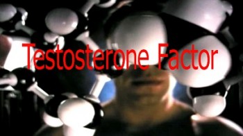 Наука о людях Фактор тестостерона / The Science of Men: Testosterone Factor (2007)