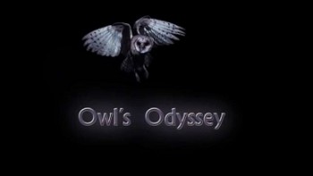 Странствия совы / Совиная одиссея / Owl's Odyssey (2013) HD