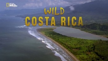 Дикая природа Коста-Рики / Wild Costa Rica (2000) National Geographic