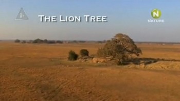 Львиное дерево / The Lion Tree (2010)