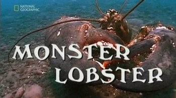 Омар монстр / National Geographic Monster lobster (2000)