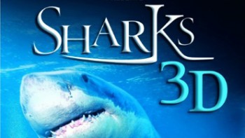 Акулы 3D / IMAX. Sharks 3D (2004)