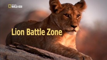 Война львов / Lion Battle Zone (2011) National Geographic