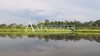 Удивительная Амазонка: Южная Америка / Faszination Amazonas (2012)