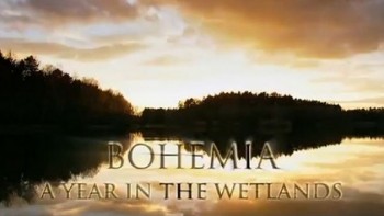 Богемия - год среди болот / Bohemia - A Year in the Wetlands (2009)