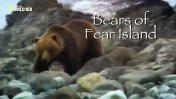 Медведи острова Страха / Bears of Fear Island (2011)