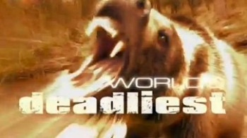 Самые опасные животные: Битвы животных / World's deadliest: Animal battles (2010)