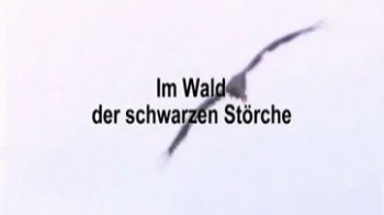 Лес черных аистов / Im Wald der schwarzen Storche. (2010)