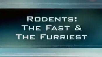 Сущность зверя: Грызуны быстрые и пушистые / Rodents: The Fast and the Furriest (2005)