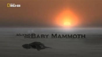 Мамонтёнок застывший во времени (Пробуждение мамонтенка) / Waking the Baby Mammoth (2009) HD