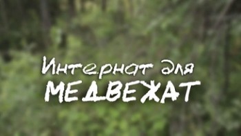 Интернат для медвежат / Bear with Me (2015)