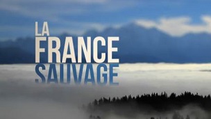 Дикая Франция / Wild France (2012)