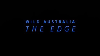 Дикая Австралия: Грань / IMAX - Wild Australia: The Edge (1996)