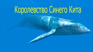 Королевство Синего Кита / Kingdom of the Blue Whale (2009)