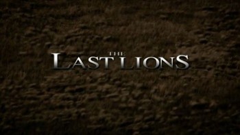 Последние львы / The Last Lions (2011)