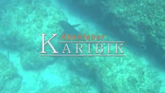 Карибские острова: Погружение с акулами / Adventure Carribean: Diving With Sharks (2012)