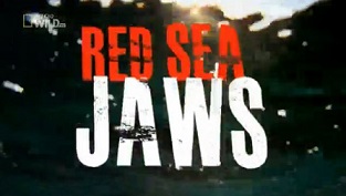 Челюсти Красного моря / Red Sea Jaws (2011)