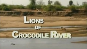 Львы с Крокодильей реки / Lions of Crocodile River (2008)