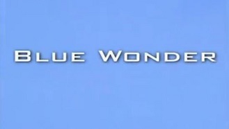 Синее чудо. Попугай в опасности / Blue wonder. A parrot in peril (2009)