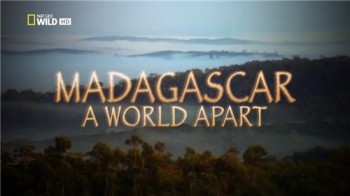 Мадагаскар. Затерянный мир / NAT GEO WILD. Madagascar. A World Apart (1999)