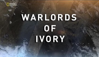 Воины за слоновую кость / Warlords of ivory (2016)