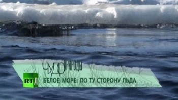 Чудо природы. Белое море: по ту сторону льда (2011)