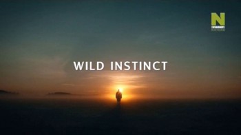 Животный инстинкт 2 сезон 1 серия. Уганда. Огромные гориллы / Wild Instinct (2015) HD