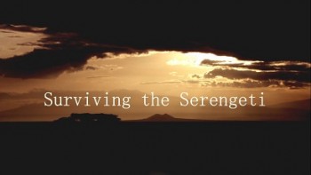 Выживание в Серенгети / Surviving the Serengeti (2015)