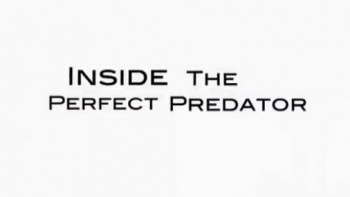 Анатомия идеального хищника / Inside the Perfect Predator (2010)